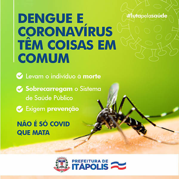 Corona Dengue 1